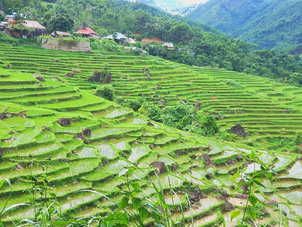 Nha Tan - Mai Chau Homestay And Tours ภายนอก รูปภาพ