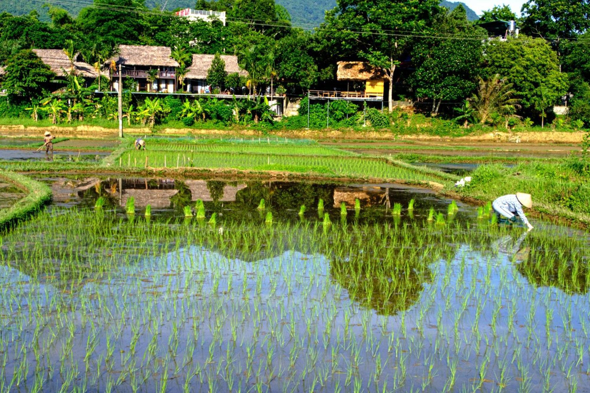 Nha Tan - Mai Chau Homestay And Tours ภายนอก รูปภาพ