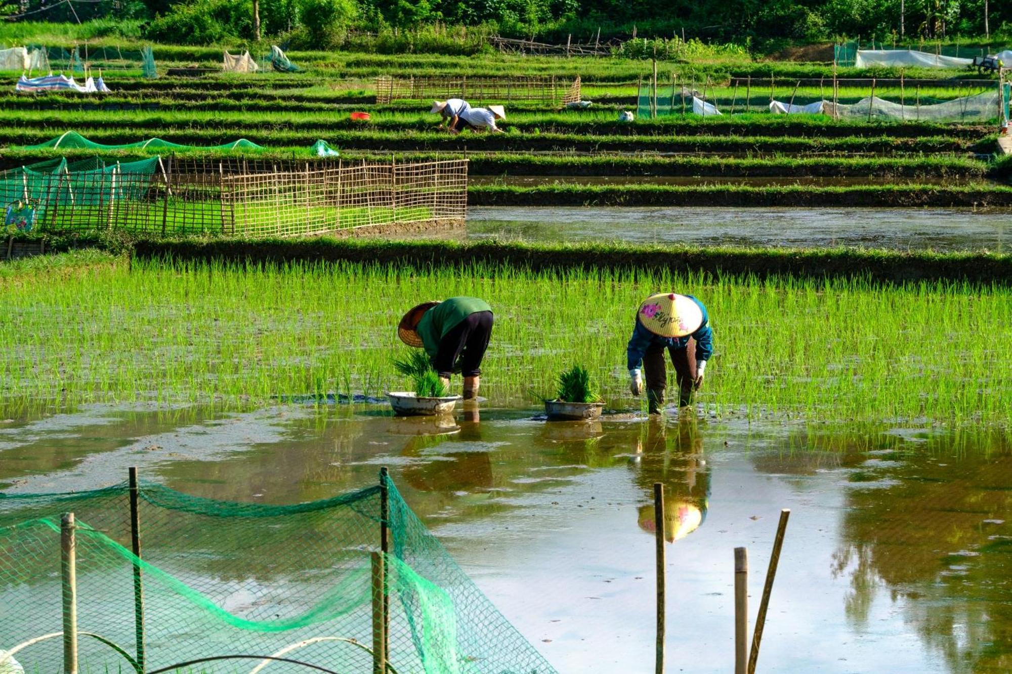Nha Tan - Mai Chau Homestay And Tours ภายนอก รูปภาพ